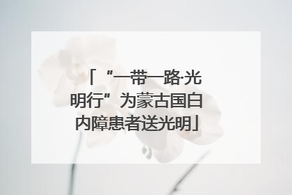 “一带一路·光明行”为蒙古国白内障患者送光明